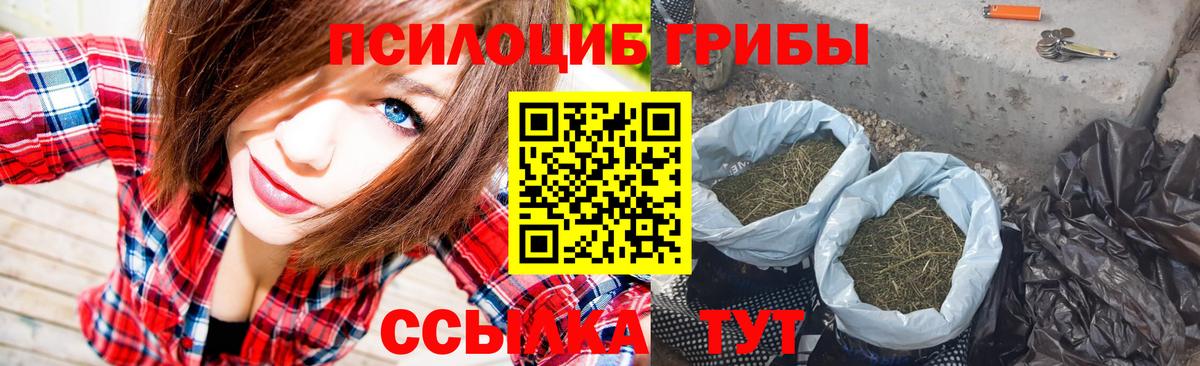 КОКАИН Горно-Алтайск