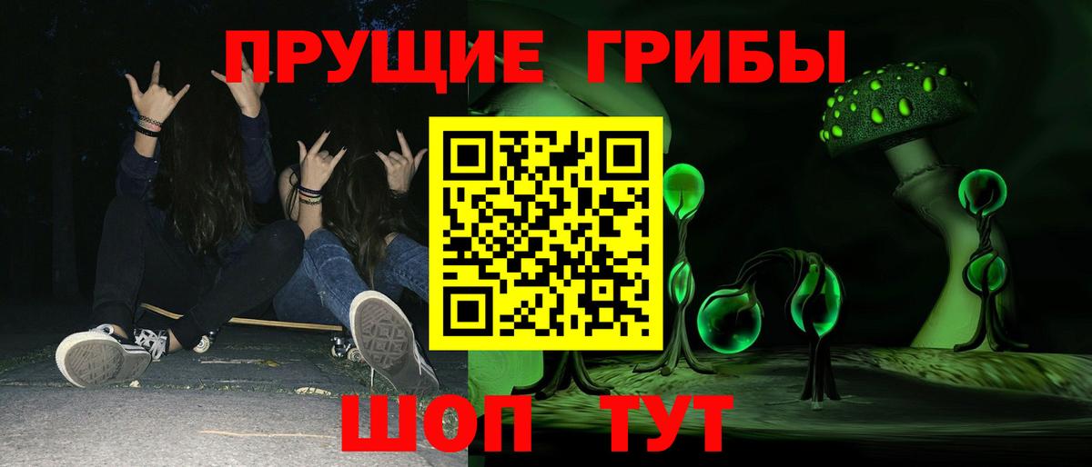 Псилоцибиновые грибы мицелий  Вход с VPN  Горно-Алтайск 