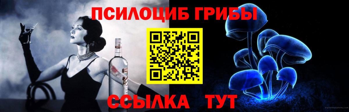 Галлюциногенные грибы Psilocybe Горно-Алтайск