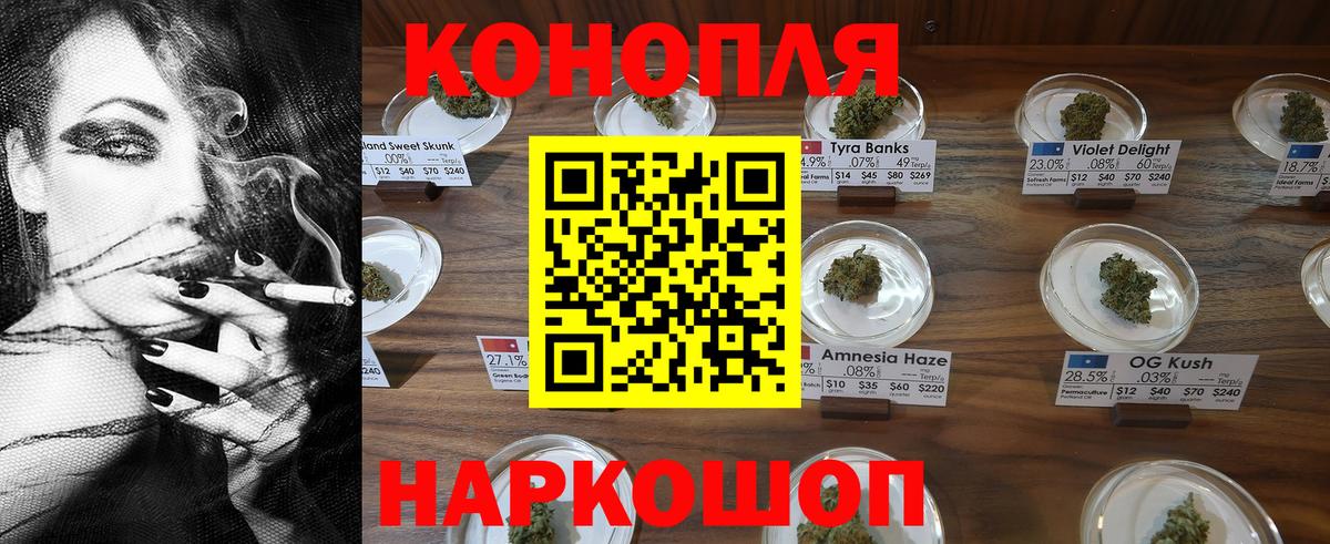 Бошки Шишки семена Горно-Алтайск
